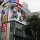 The calico looks over Shinjuku.